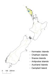 Davallia trichomanoides distribution map based on databased records at AK, CHR & WELT.
 Image: K.Boardman © Landcare Research 2018 CC BY 4.0